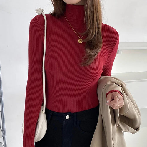 Knitted Turtleneck Sweater