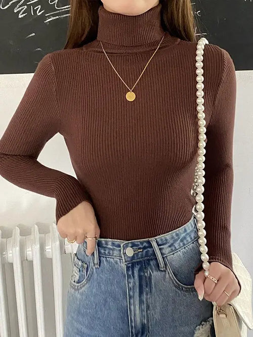 Knitted Turtleneck Sweater