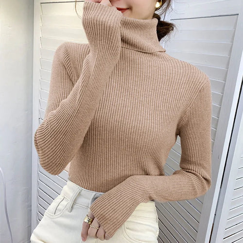 Knitted Turtleneck Sweater