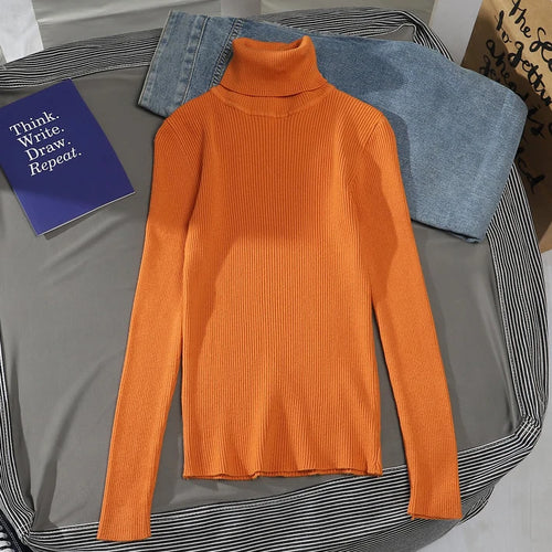 Knitted Turtleneck Sweater