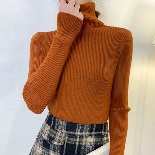 Knitted Turtleneck Sweater