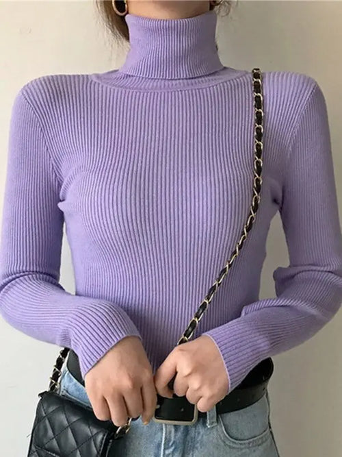Knitted Turtleneck Sweater