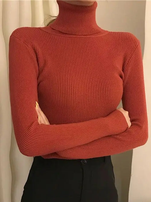 Knitted Turtleneck Sweater