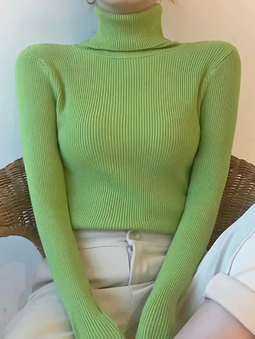 Knitted Turtleneck Sweater